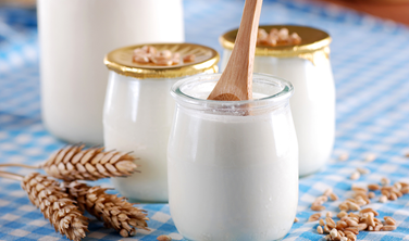 yoghurt